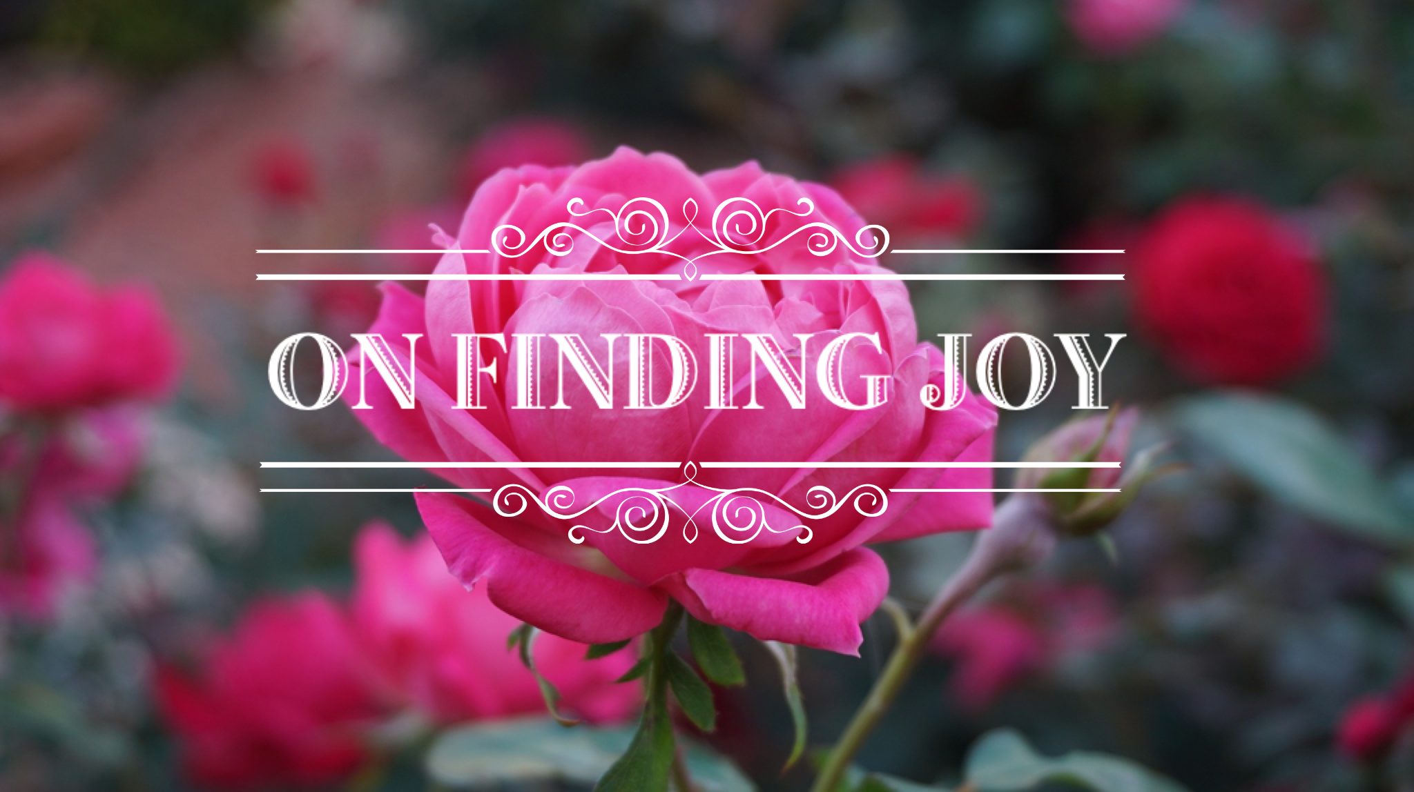 On Finding Joy